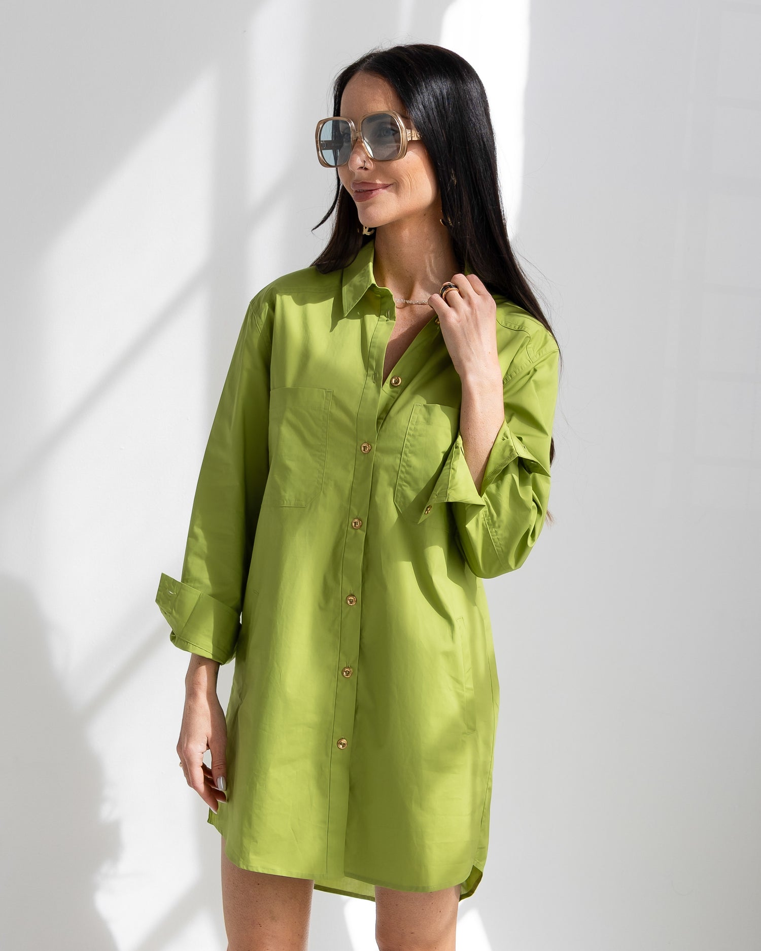 Basic Preslie Poplin Shirt Dress Cactus