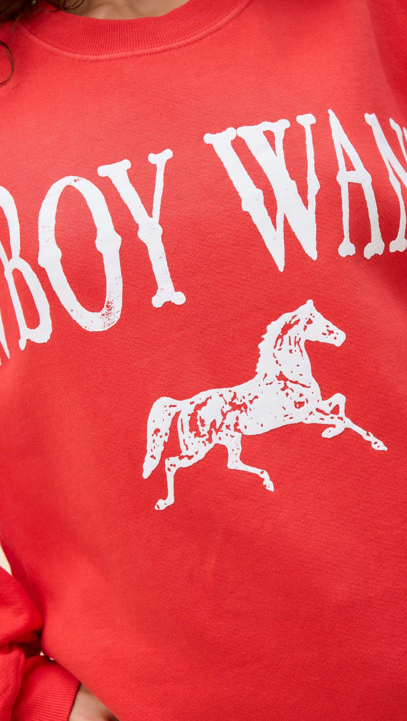Cowboy Wanted Boyfriend crew