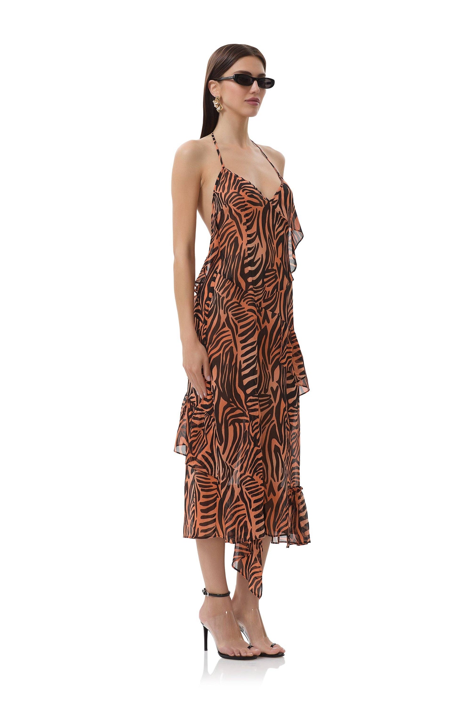 Ware Dress - Ombre Zebra