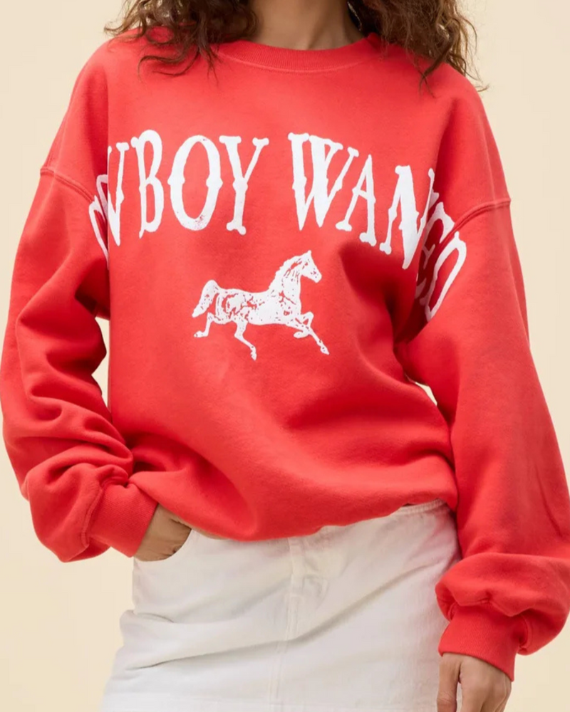 Cowboy Wanted Boyfriend crew