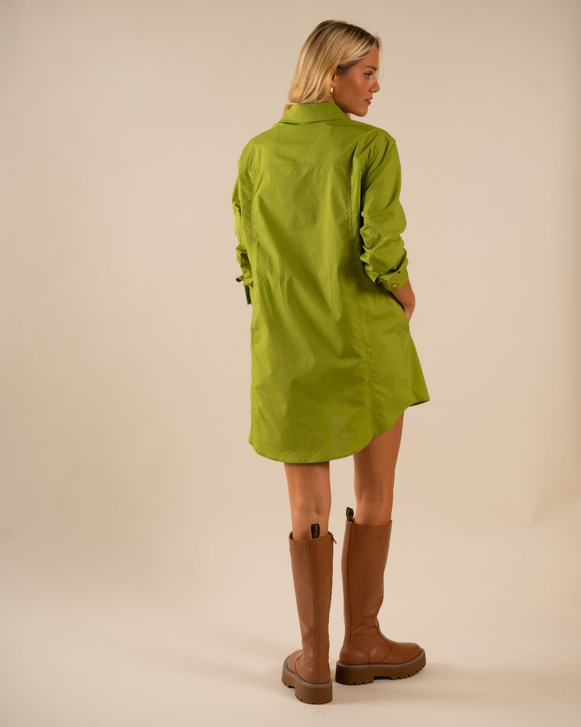 Basic Preslie Poplin Shirt Dress Cactus 3
