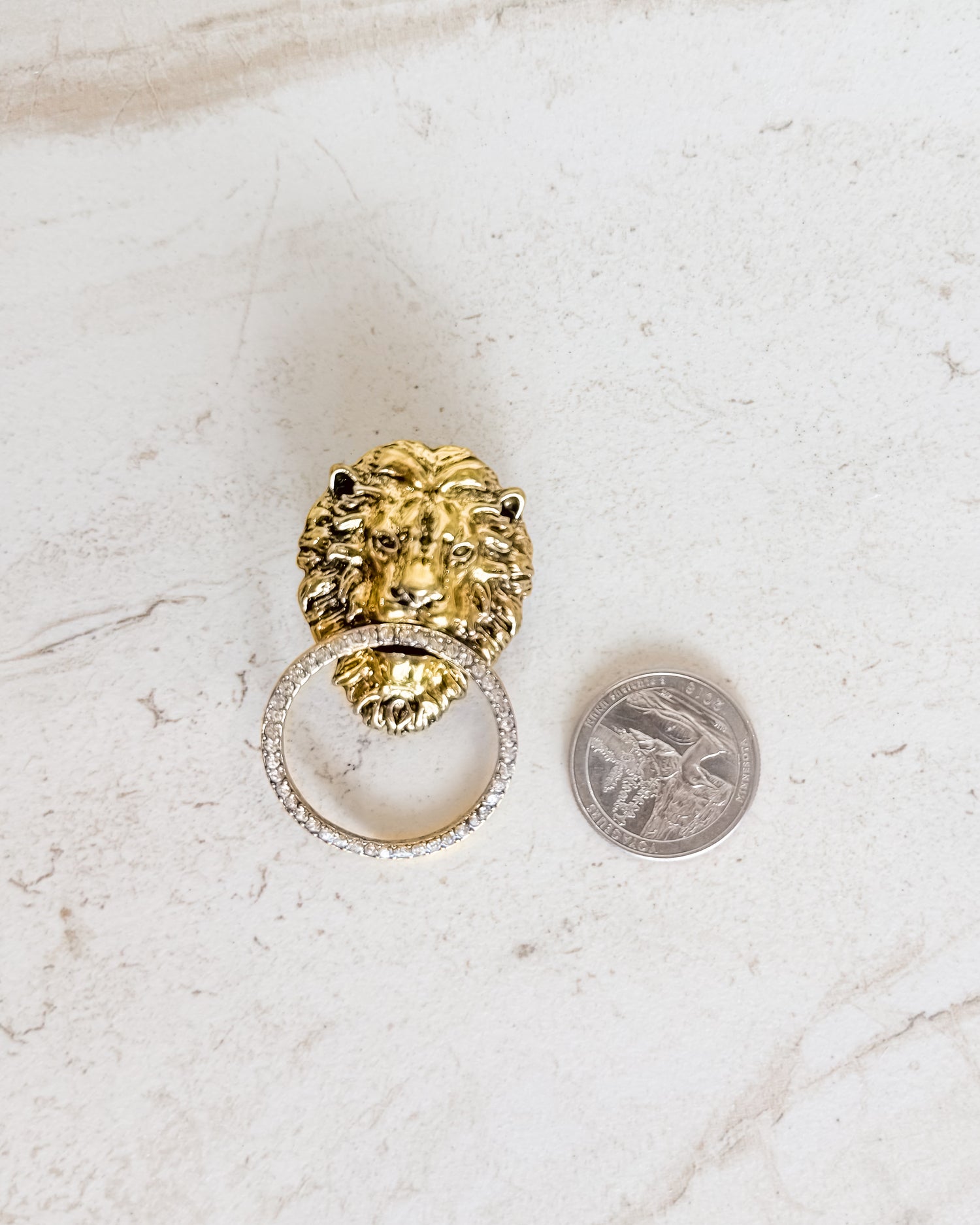 Vintage Gold Lion Head With Rhinestone Circle Earrings