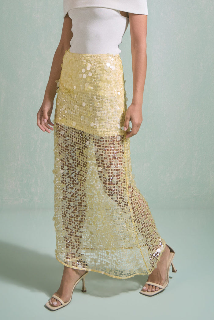 Sequin Mesh Maxi Skirt