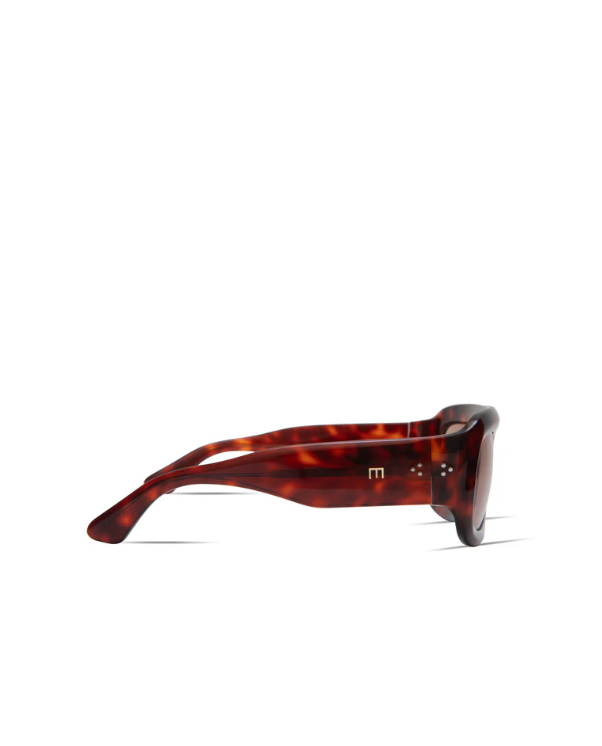 Aries in Red Tortoise