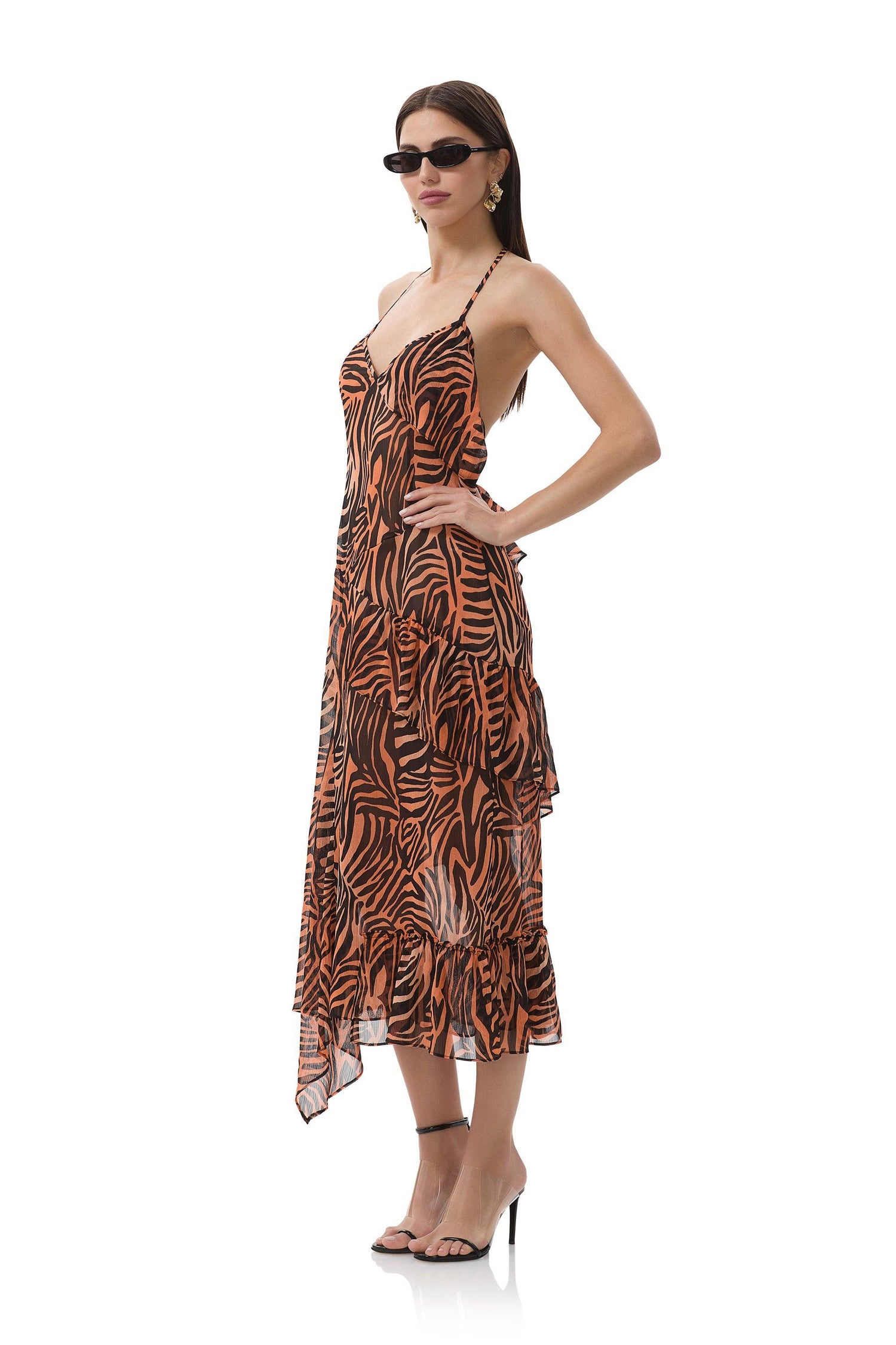 Ware Dress - Ombre Zebra