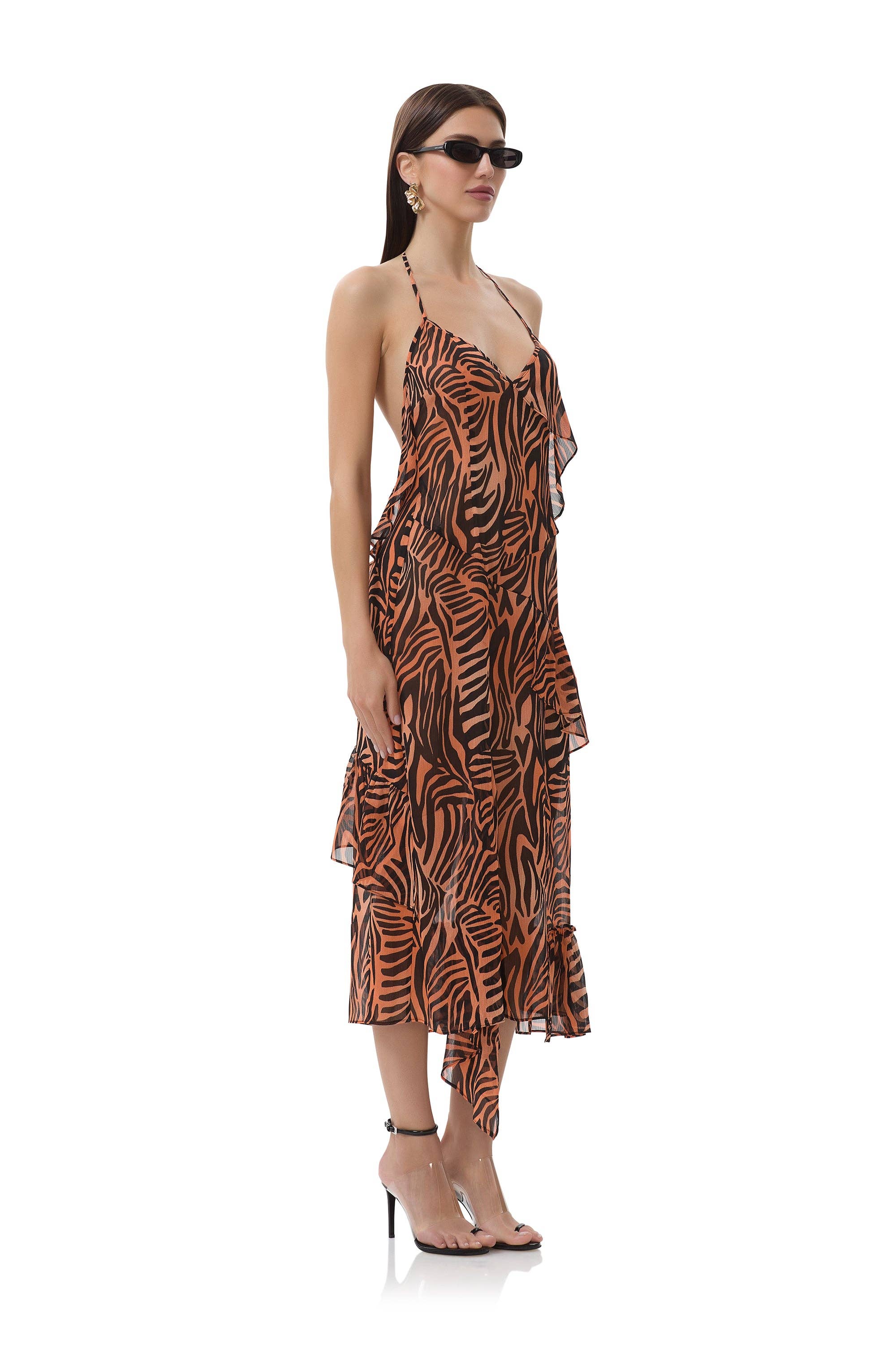 Ware Dress - Ombre Zebra