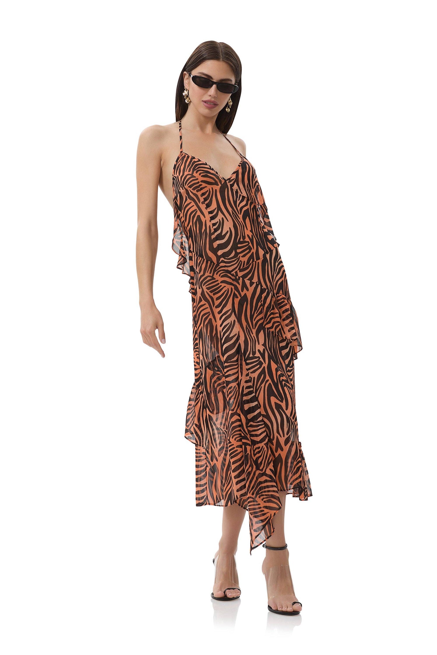 Ware Dress - Ombre Zebra