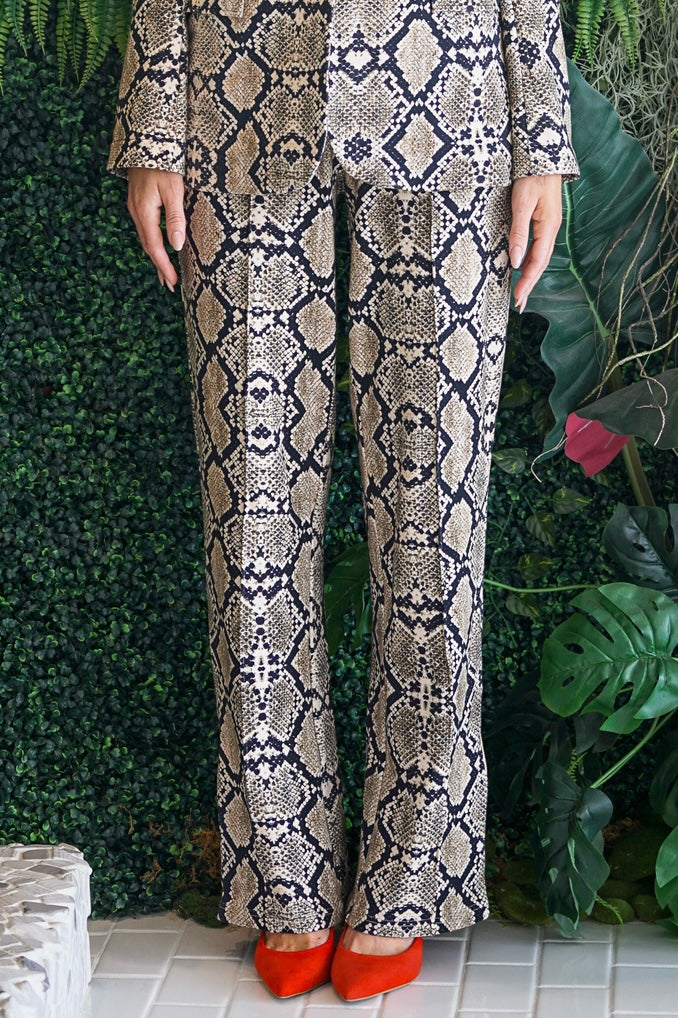 Jordan Interlock Pants Python