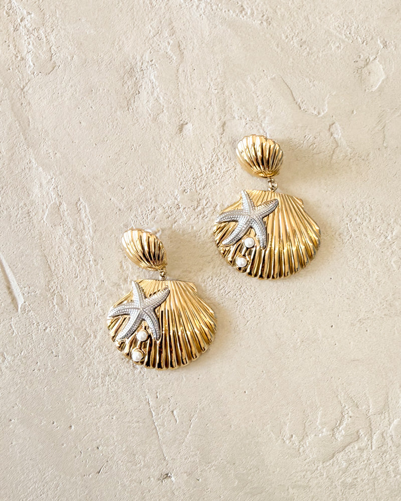 Seashell Earrings