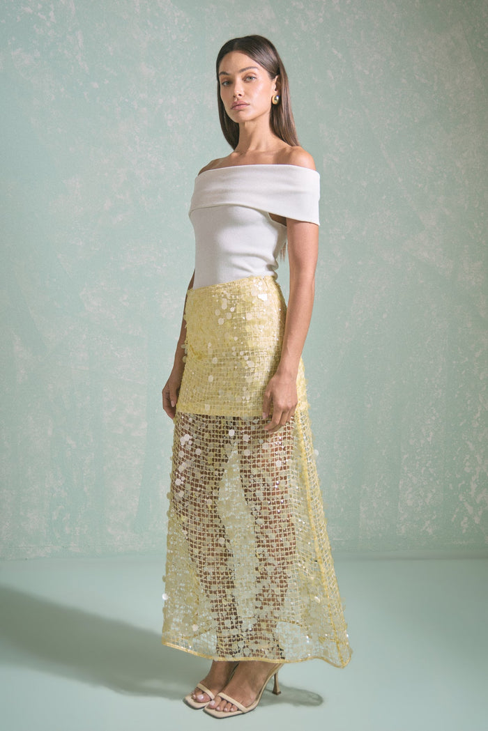 Sequin Mesh Maxi Skirt