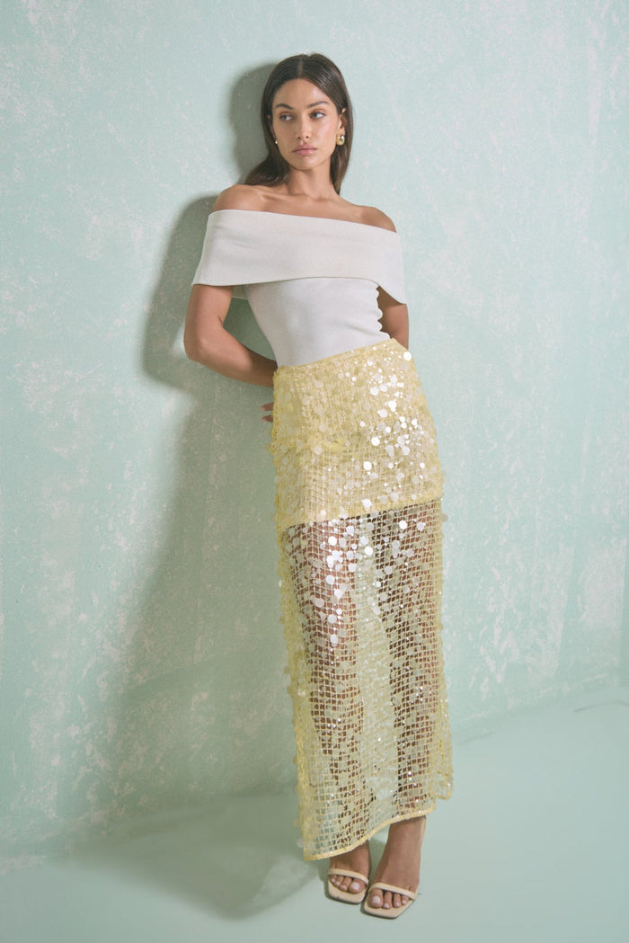 Sequin Mesh Maxi Skirt