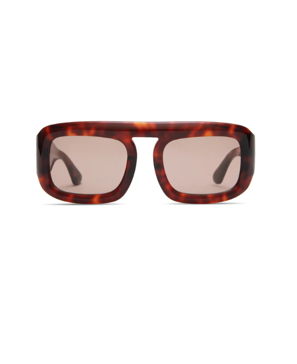 Aries in Red Tortoise